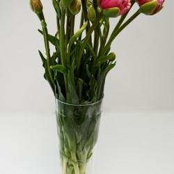 Wedding Gift ®