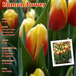 Roman Power ®