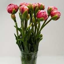 Wedding Gift ®